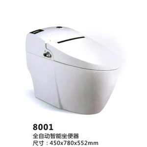 China Smart toilet