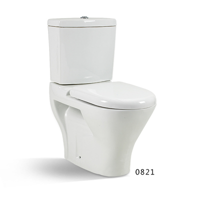 Wondrous Ceramic Toilet